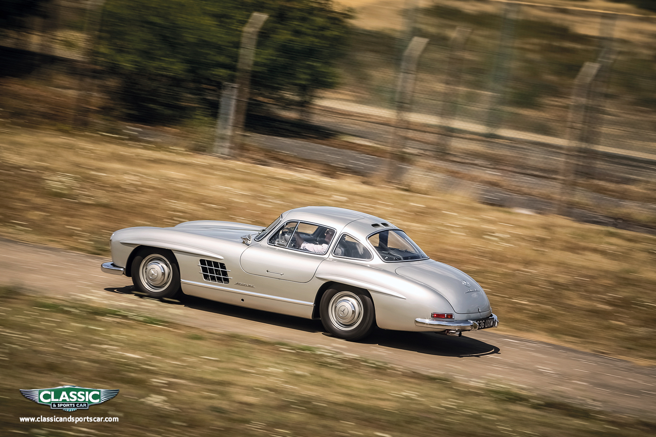 wallpaper gullwing.jpg